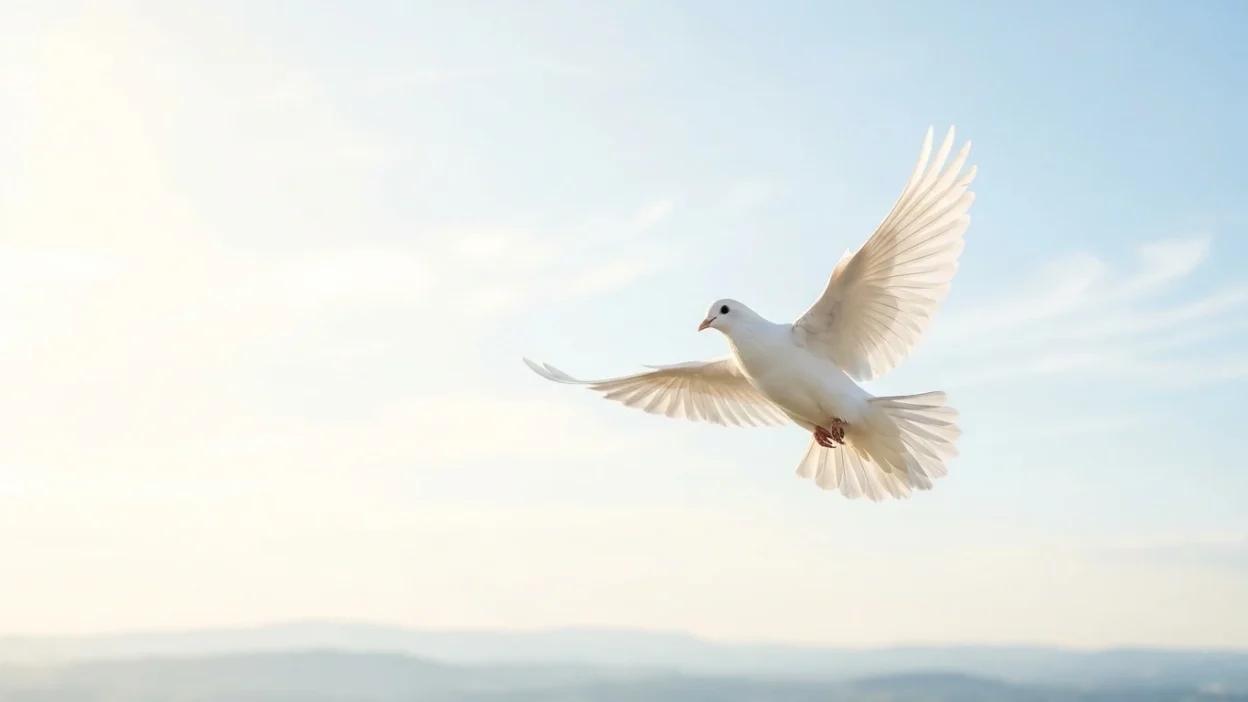 White Symbolism