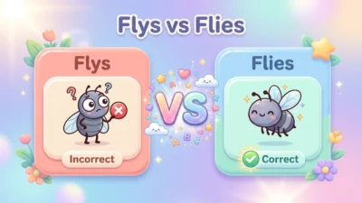 Flys vs Flies